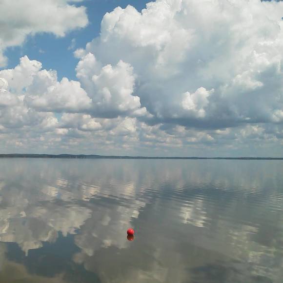 Meet your Posher, Anette - Picture 1 of 1